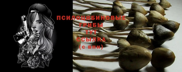первитин Верхний Тагил