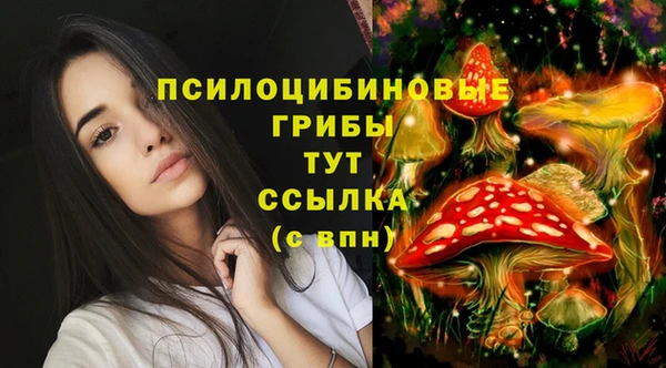 mdma Рославль