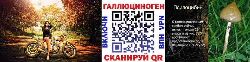 Галлюциногенные грибы Psilocybe  Брянск 